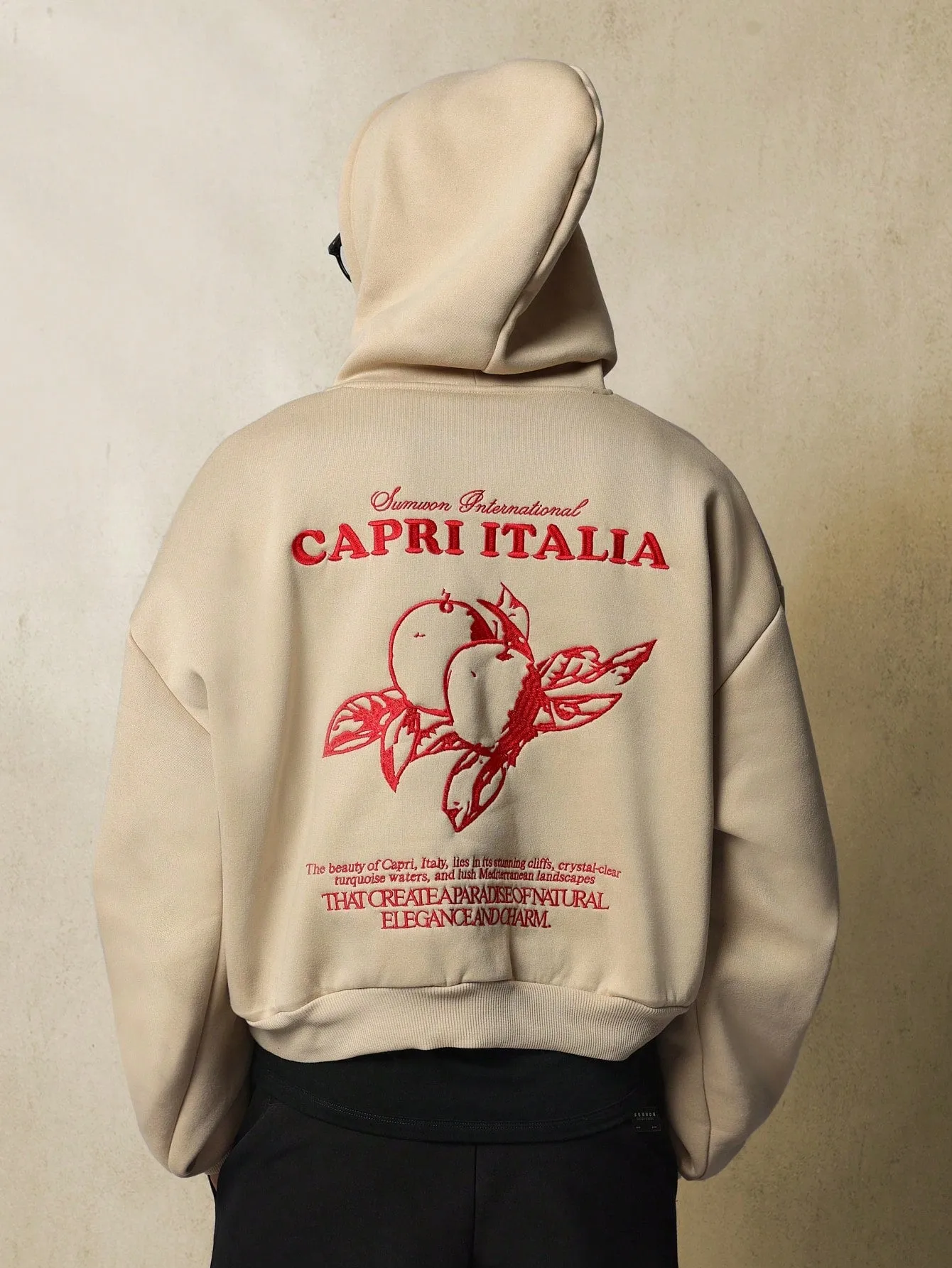 Crop Overhead Hoodie With Embroidery